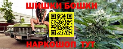 сатива Краснознаменск