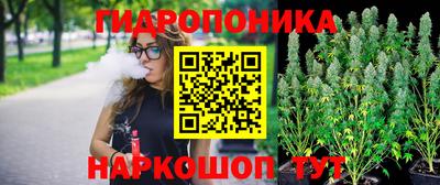 гидропоника Коммунар