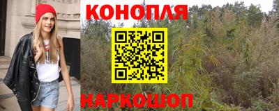 прущие грибы Краснокаменск