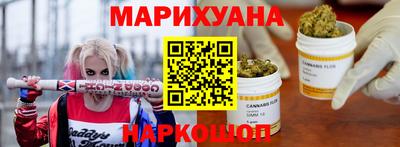сатива Краснознаменск