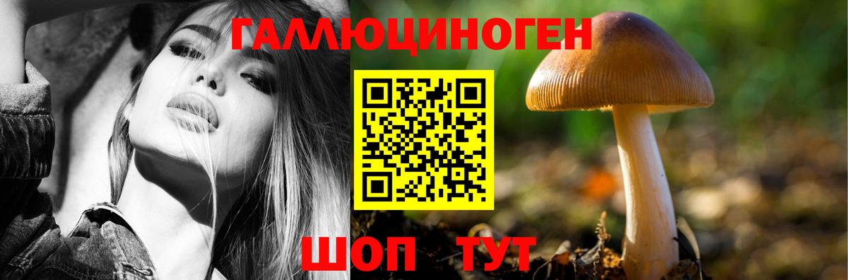 Керчь  Галлюциногенные грибы Psilocybine cubensis  Псилоцибиновые грибы Psilocybine cubensis  Вход с VPN 